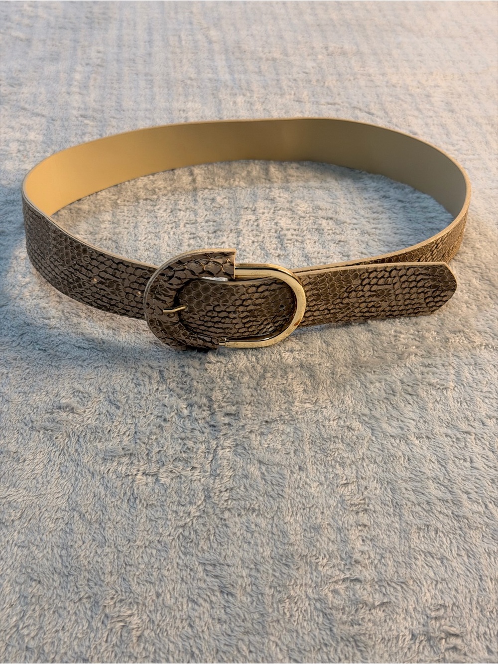 Faux Snakeskin Gold Buckle Boho Belt